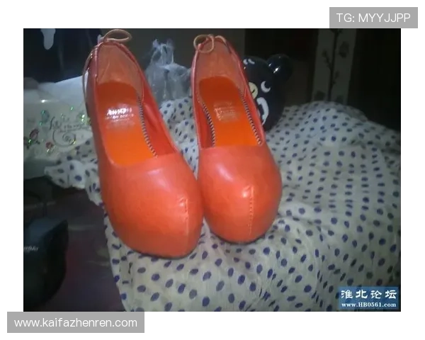 凯发登录首页网址查询常见错误及解决方案帮助用户顺利登录