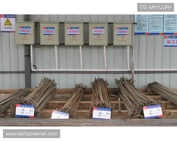 凯发集团下载官网最新版本更新内容及安全保障措施全面解析